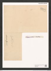 Surirella intercedens Grun. (de-Toni-Nr.: Genus 53, Species 2383) Zeichnungen Sammlung Grunow (NHMW-BOT-W0372926)